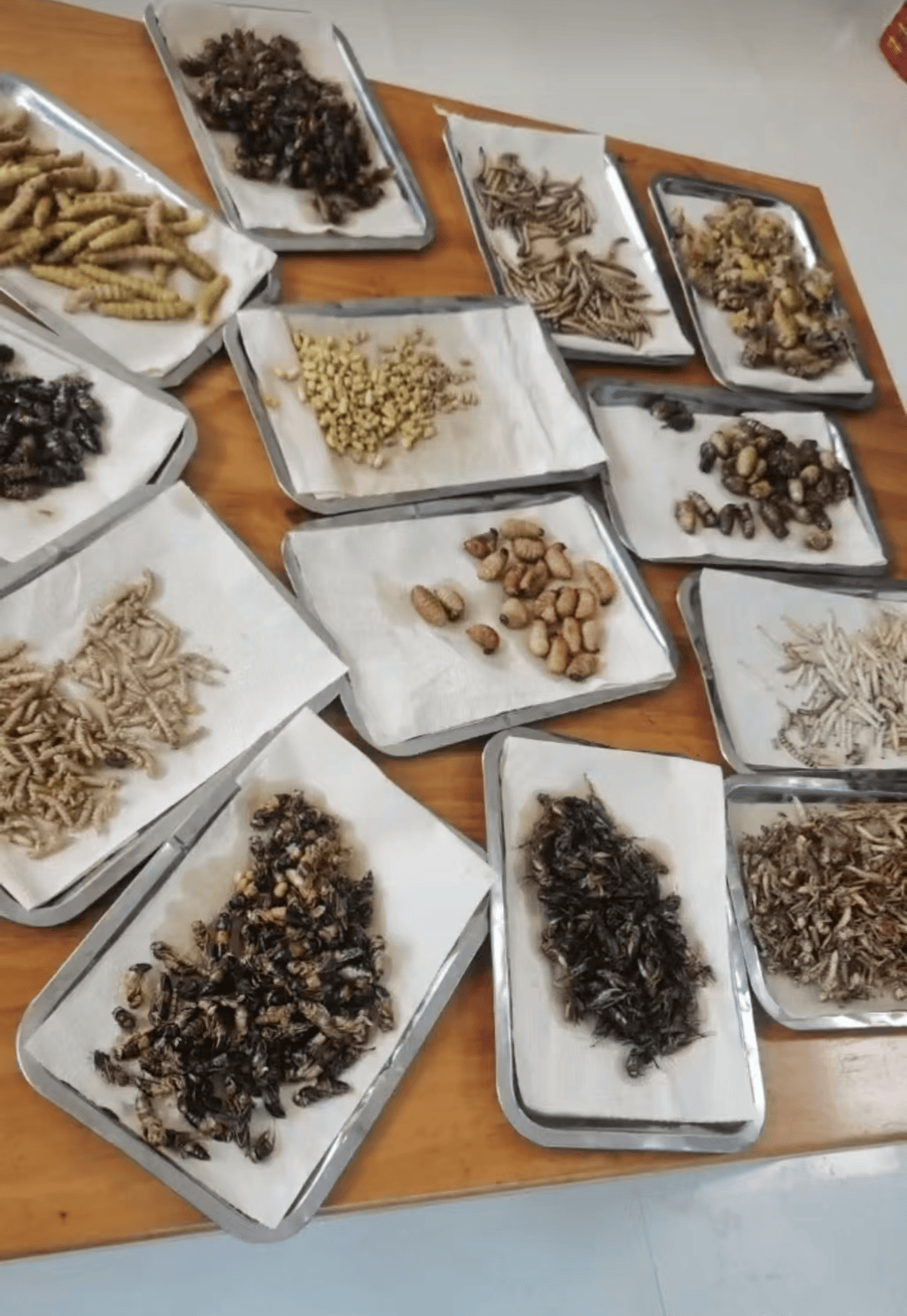 山東臨沂通報“蛤蟆湯”飯店被擬罰45萬：撤銷處罰，5人停職