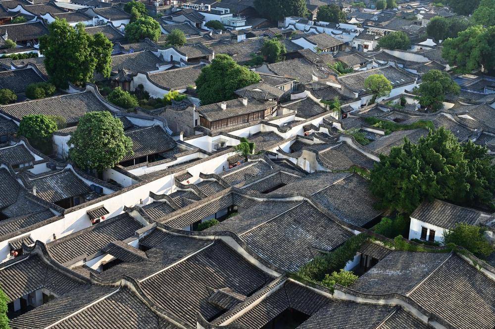 時政微觀察丨從這些辯證關(guān)系，讀懂“現(xiàn)代化人民城市”