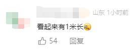 有人家中出現(xiàn)“巨型蟑螂”？網(wǎng)友：房子給它了