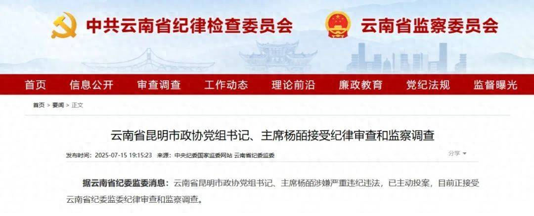 曾任昆明市副市長的她，主動投案