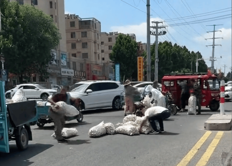 多人哄搶掉地大蒜，遭人呵斥也無(wú)濟(jì)于事……市民：不應(yīng)占這種小便宜