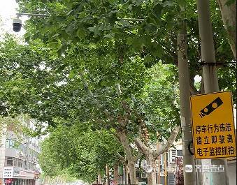 濟南槐蔭區(qū)建邦大廈門口車輛亂停占道，交警：已安裝交通隔離設施