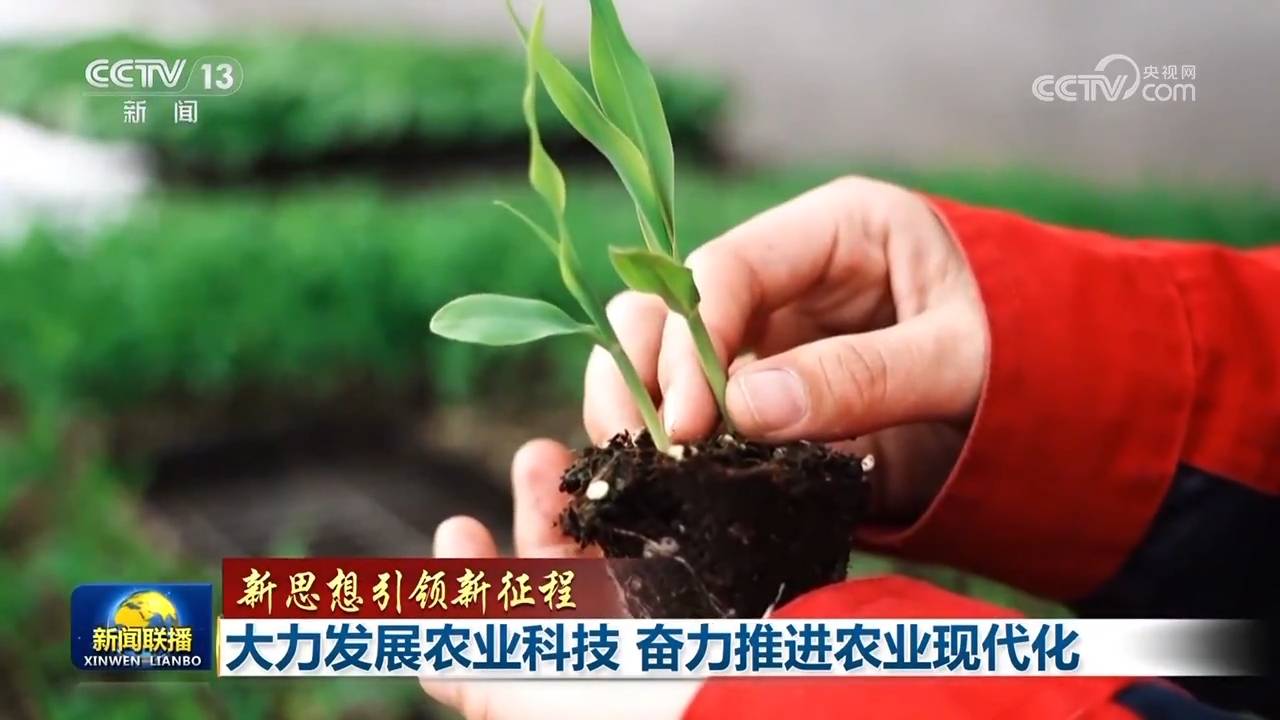 【新思想引領新征程】大力發(fā)展農業(yè)科技 奮力推進農業(yè)現(xiàn)代化