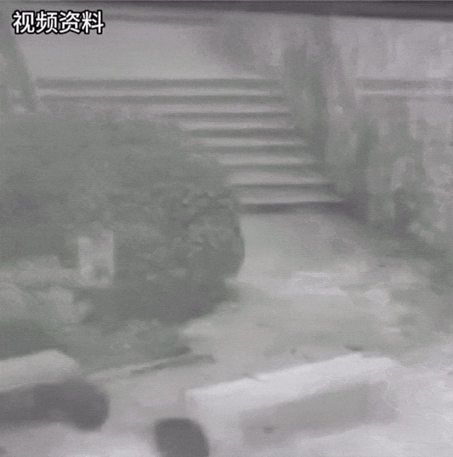 僅40秒！兩人不幸身亡