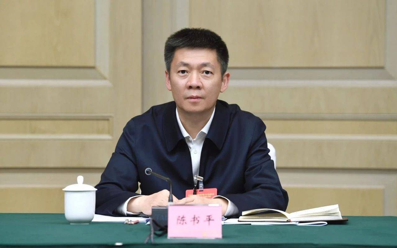 陳書平任四川省副省長(zhǎng)