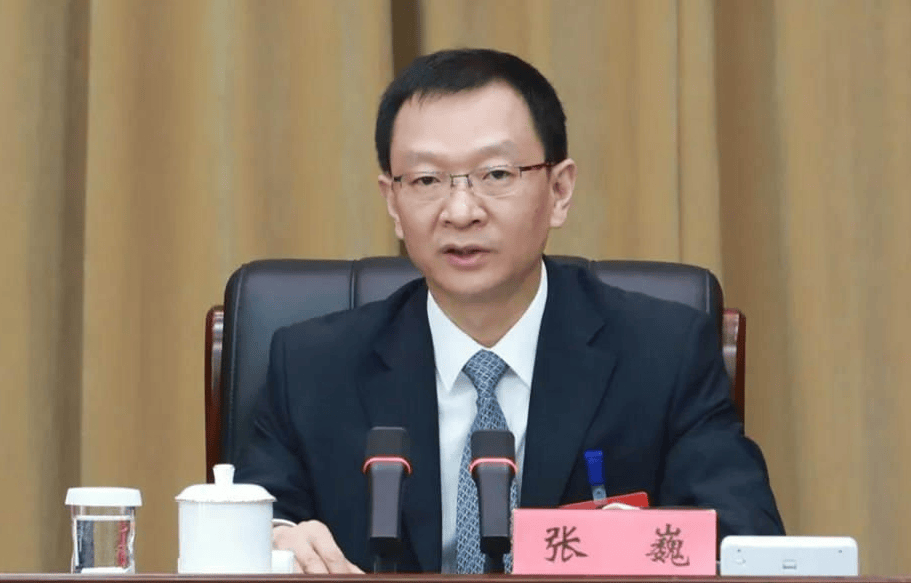河南省委副書記張巍再添新職