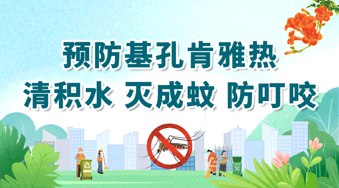 收好這份指引！十大場所滅蚊防基孔肯雅熱有方法