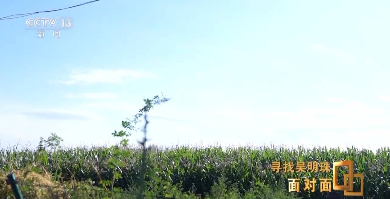 面對(duì)面丨中國人的吃瓜自由要感謝她！吳明珠說她的一生就是結(jié)幾個(gè)好瓜獻(xiàn)給人民