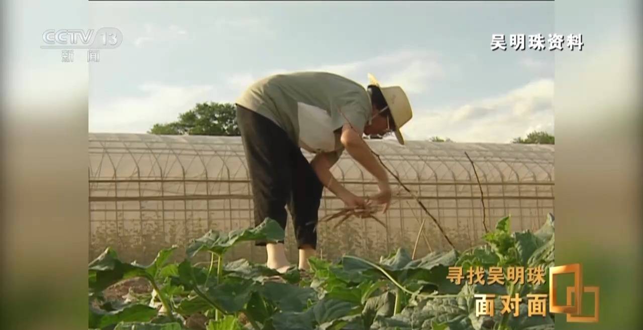 面對(duì)面丨中國人的吃瓜自由要感謝她！吳明珠說她的一生就是結(jié)幾個(gè)好瓜獻(xiàn)給人民