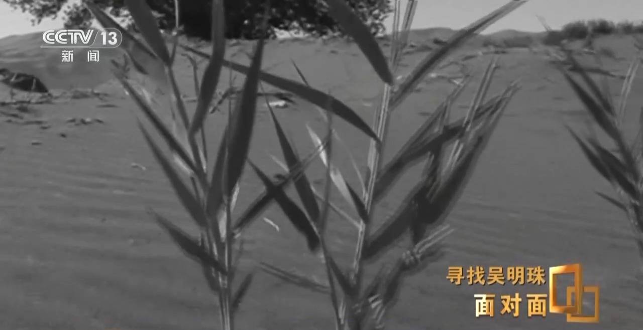 面對(duì)面丨中國人的吃瓜自由要感謝她！吳明珠說她的一生就是結(jié)幾個(gè)好瓜獻(xiàn)給人民