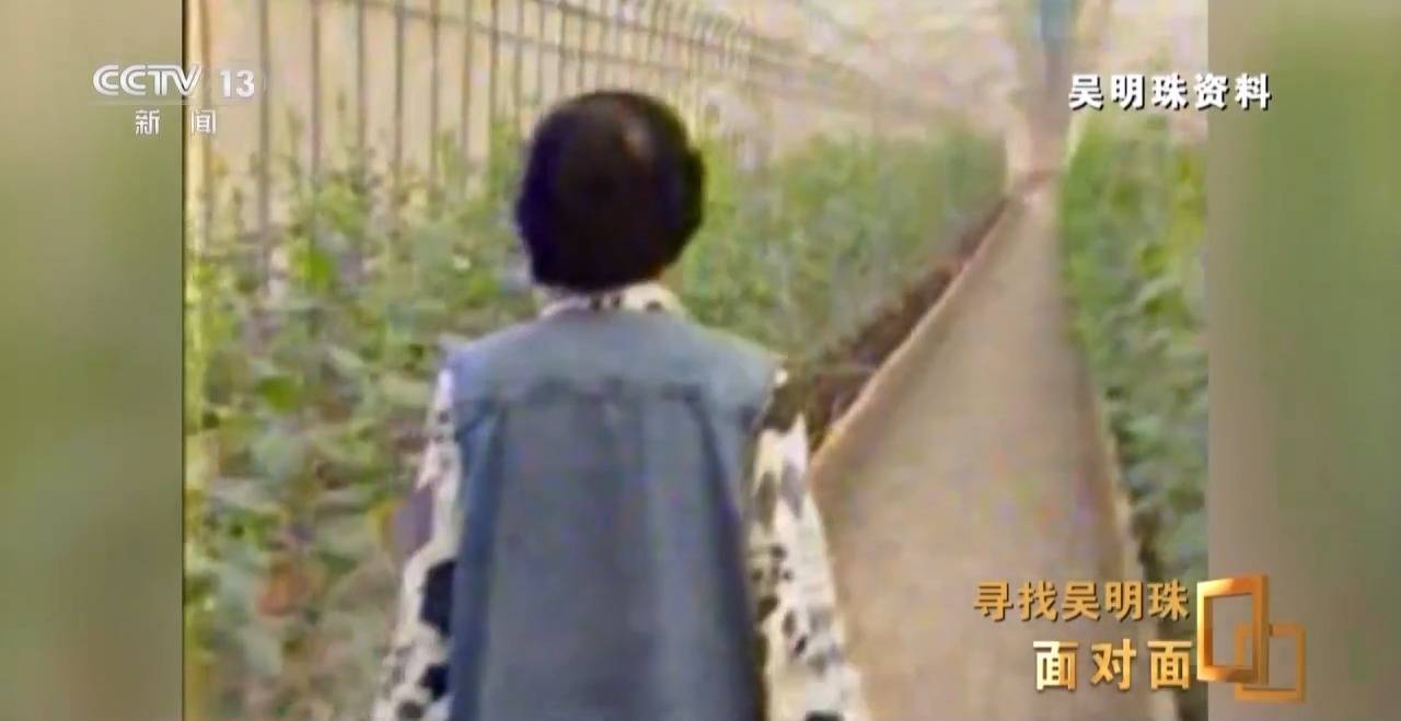 面對(duì)面丨中國人的吃瓜自由要感謝她！吳明珠說她的一生就是結(jié)幾個(gè)好瓜獻(xiàn)給人民