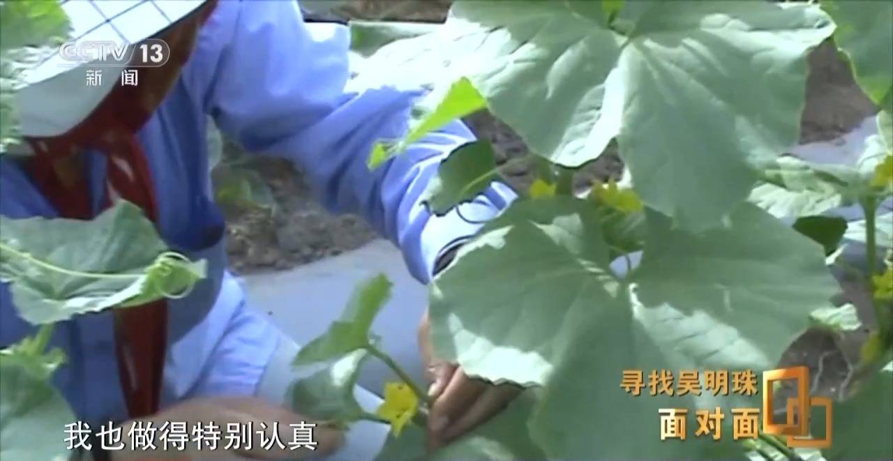 面對(duì)面丨中國人的吃瓜自由要感謝她！吳明珠說她的一生就是結(jié)幾個(gè)好瓜獻(xiàn)給人民