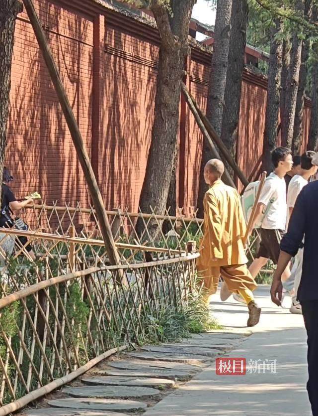 印樂方丈管理下的白馬寺：僧人頂著高溫種地，義工稱寺里秉承農(nóng)禪并重