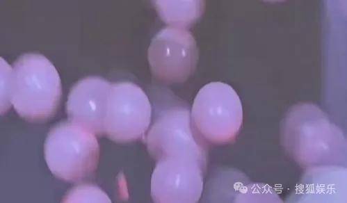調(diào)侃“接受不了生女兒”被罵好幾天，他自曝差點因此家庭破裂......