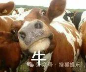 調(diào)侃“接受不了生女兒”被罵好幾天，他自曝差點因此家庭破裂......
