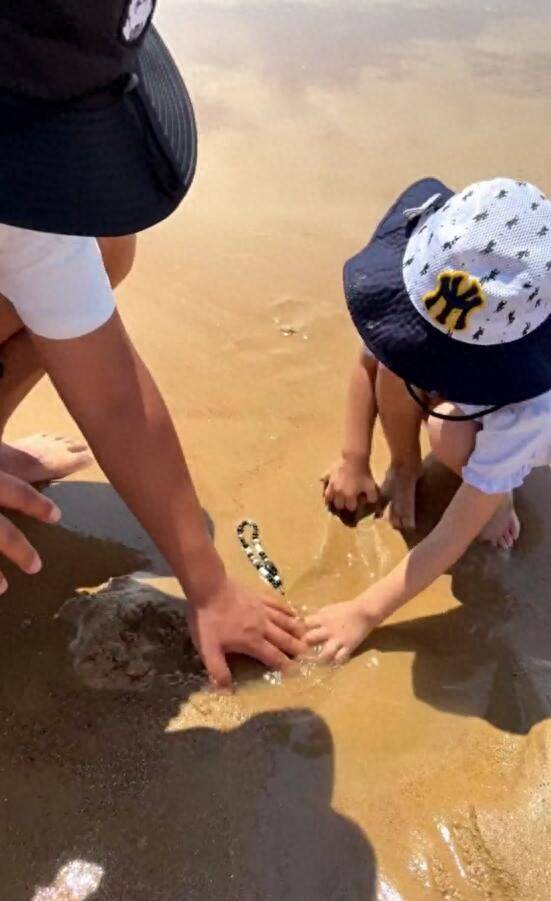 青島趕海沙灘中挖出手機，濰坊熱心游客物歸原主