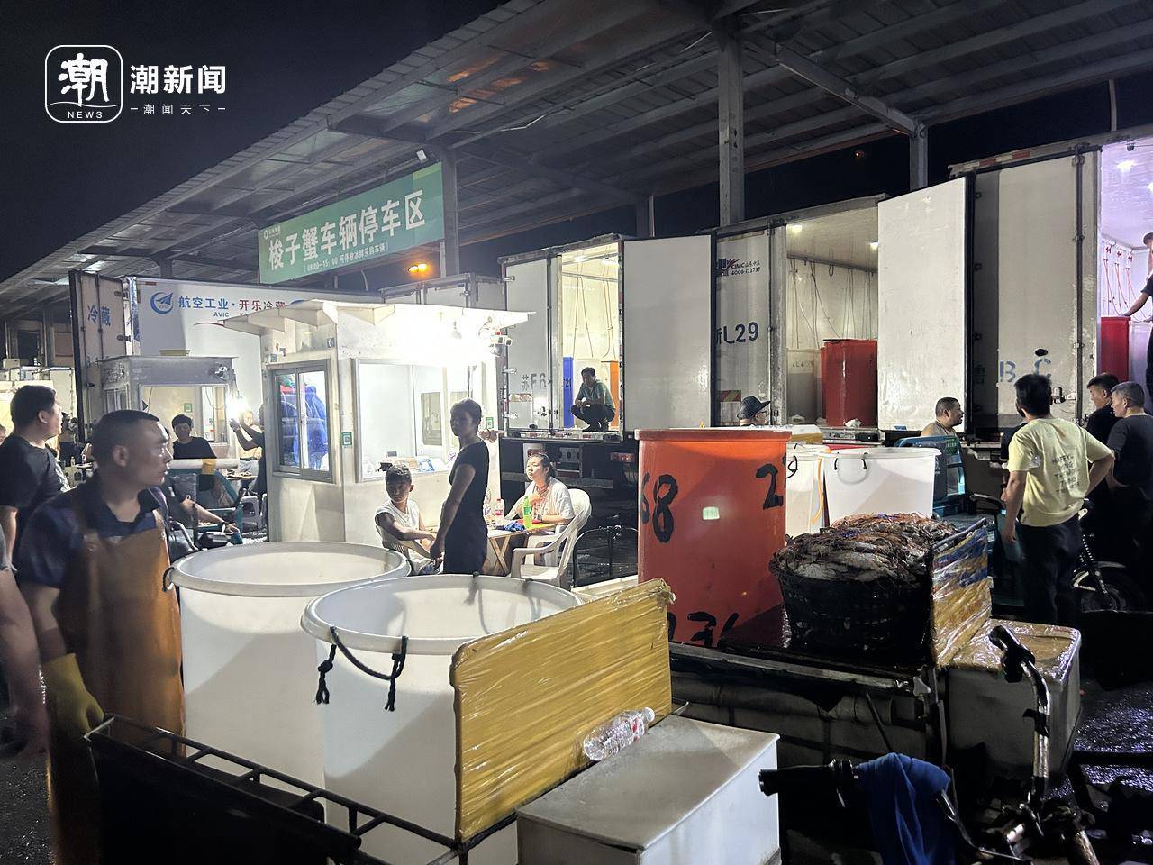 起猛了！東海梭子蟹2元/斤，杭州市場(chǎng)到貨量驚人