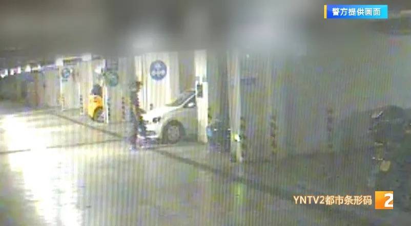 凌晨怪事！男子提著茅臺(tái)袋子在車庫，翻垃圾桶竟為了.....