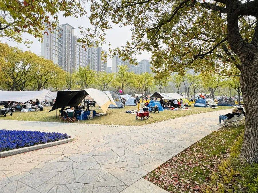 上海明確：不得隨意以安全為由禁止，盡量擴大范圍！此前爭議不斷