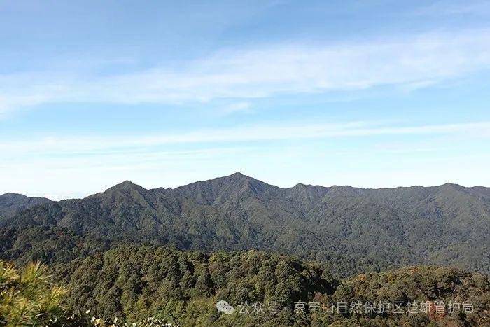 云南哀牢山新規(guī)出臺(tái)：禁止任何單位和個(gè)人擅入哀牢山自然保護(hù)區(qū)，從事科研活動(dòng)須報(bào)批