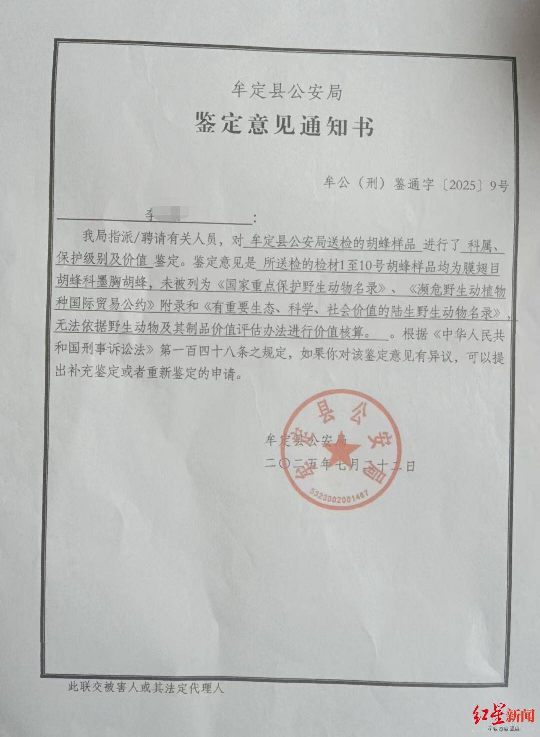 兩兒童遭蜂群蜇傷身亡，養(yǎng)蜂人涉過失致人死亡被立案！胡蜂養(yǎng)殖監(jiān)管存模糊地帶