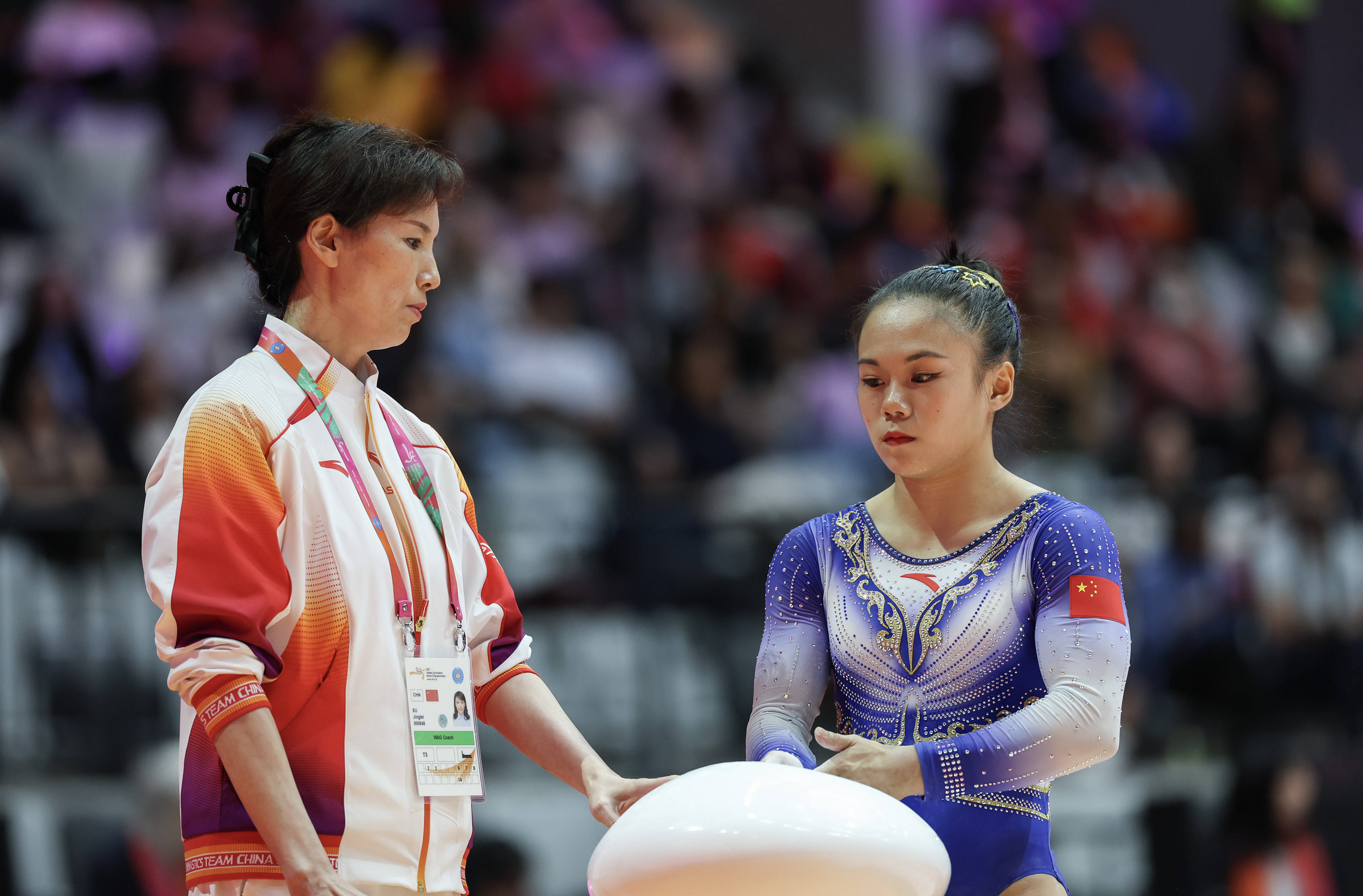 （體育）體操——世錦賽：張清穎獲女子個(gè)人全能季軍