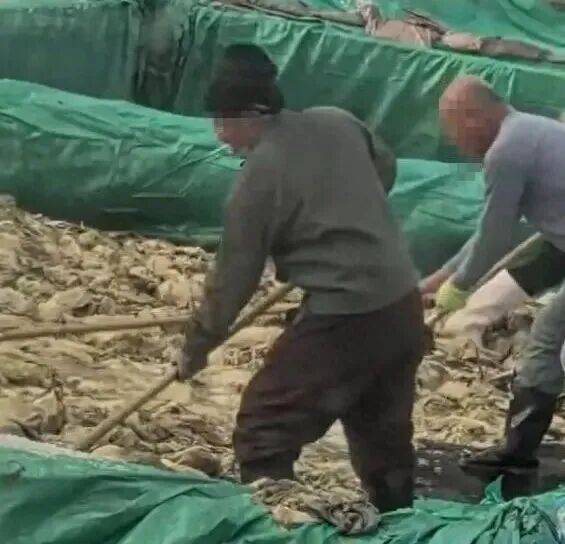 男子在酸菜池內(nèi)抽煙吐痰，官方通報！