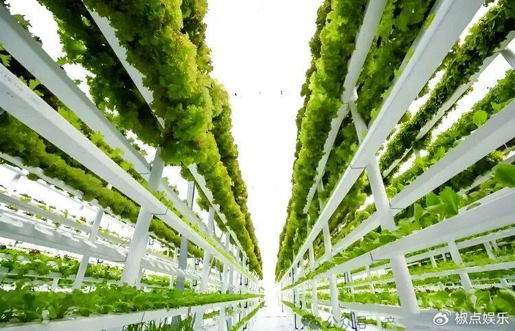 荷蘭非常小的一個國家，為何誕生了許多大名鼎鼎的公司？